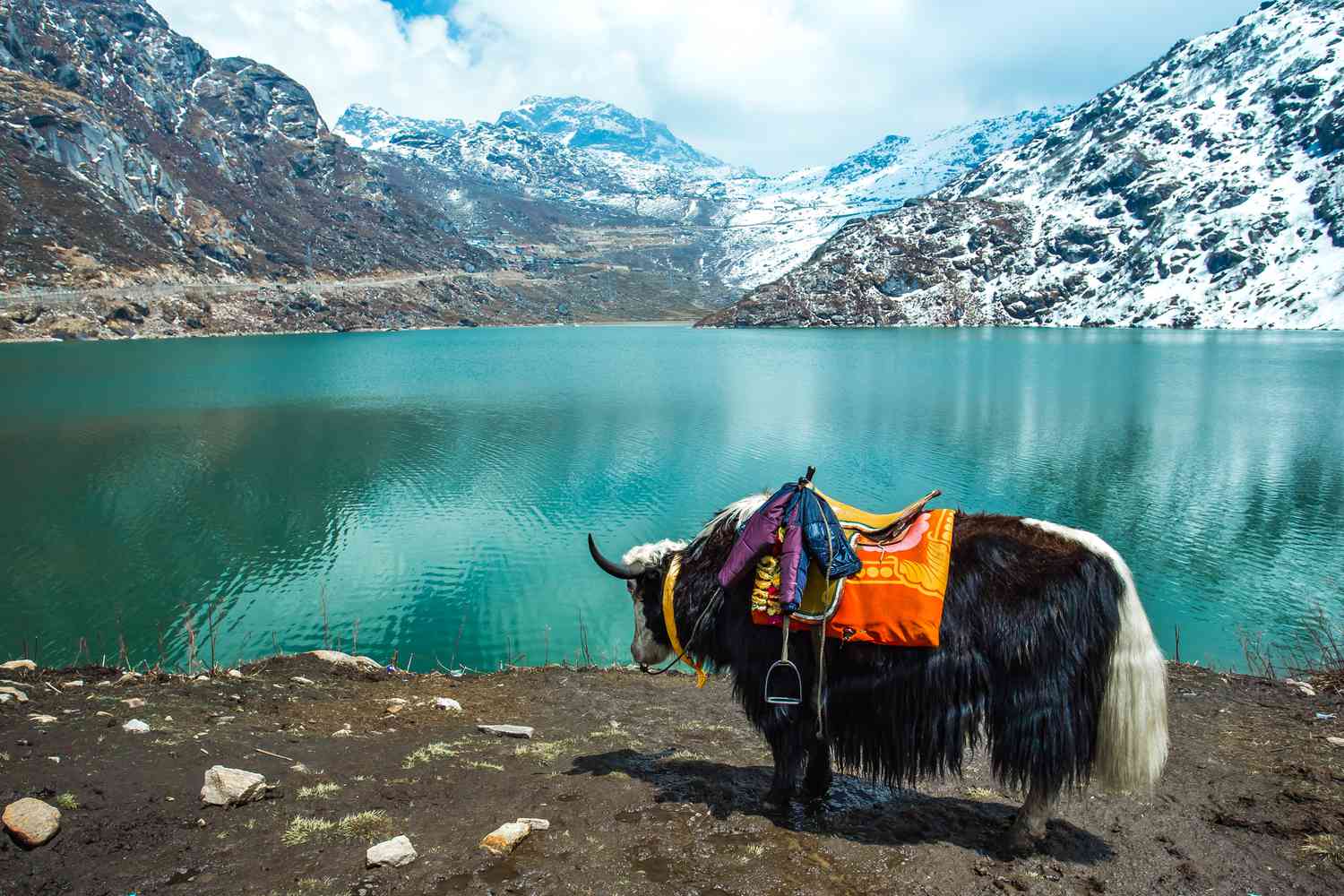 Sikkim - Tranquility meets the Eastern Himalayas
